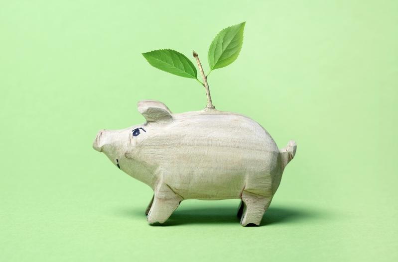 Uw onderneming verduurzamen? Zo financiert u dat